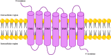 Fig. 4