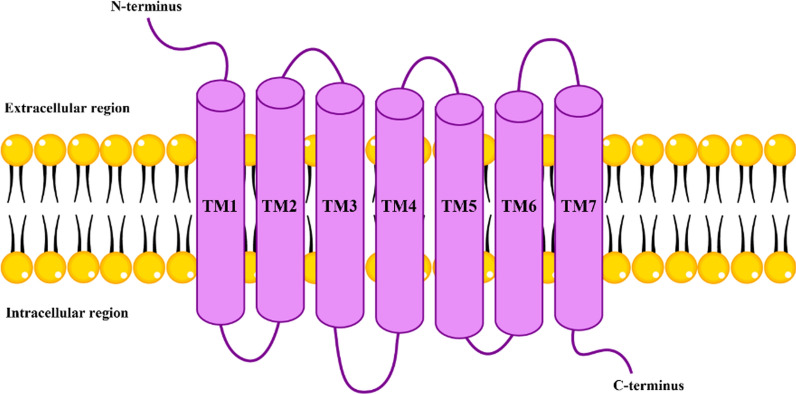 Fig. 4