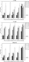 FIG. 2.