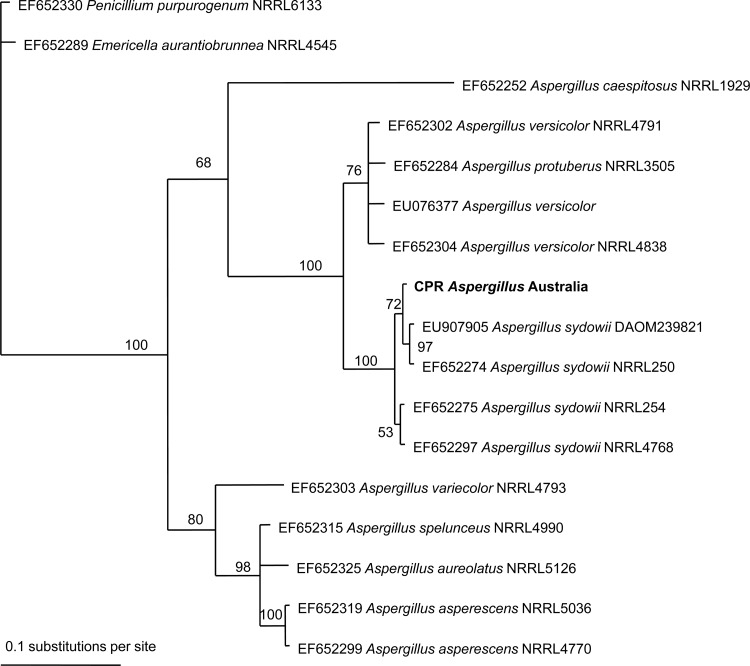 FIG 3