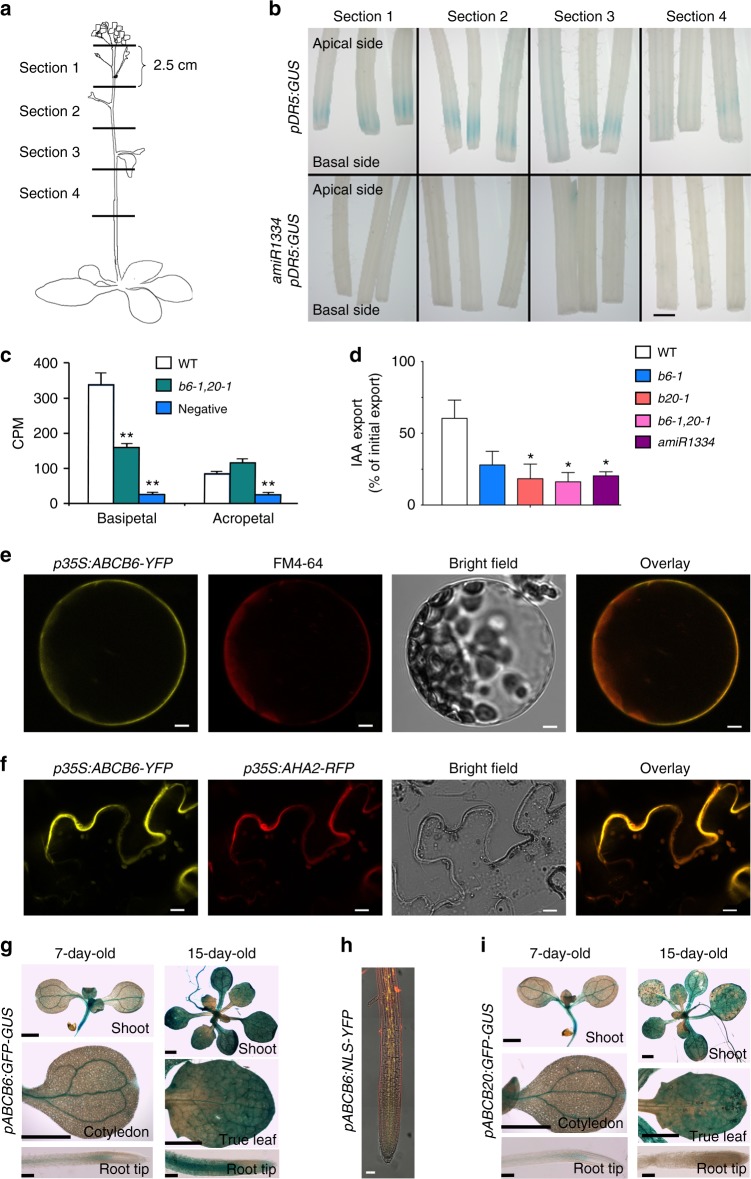 Fig. 4