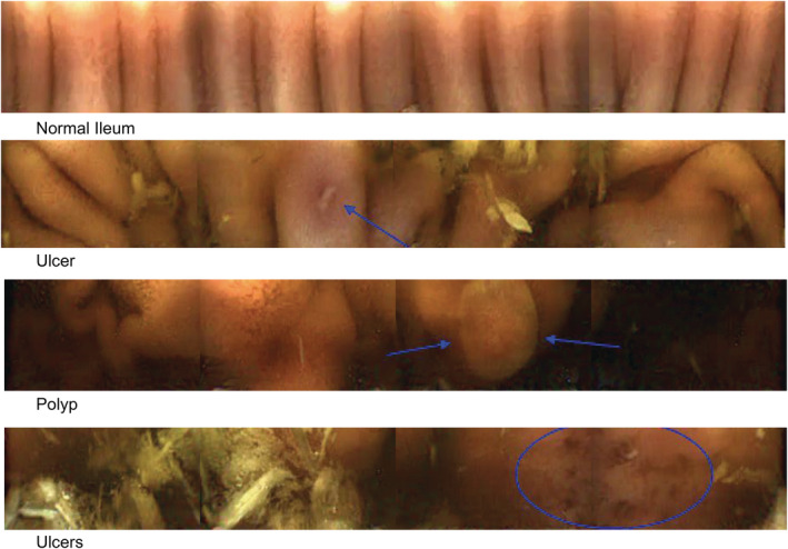 FIGURE 4