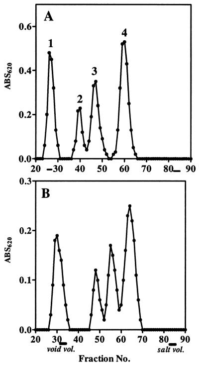 FIG. 1