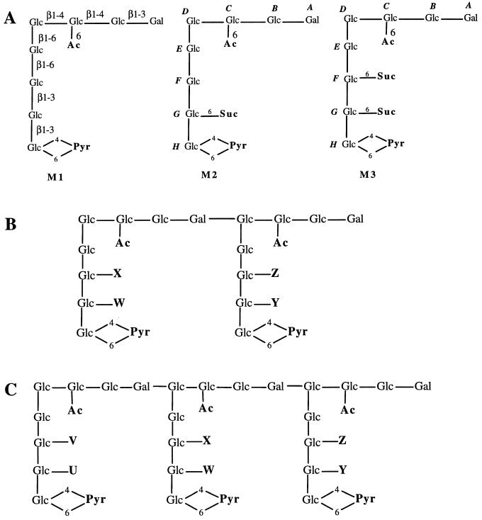 FIG. 6