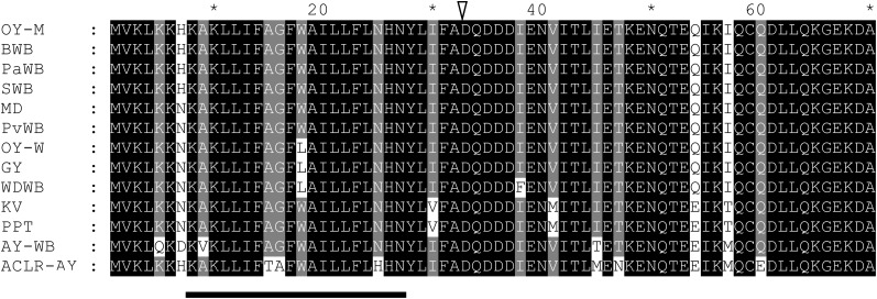 Figure 7.