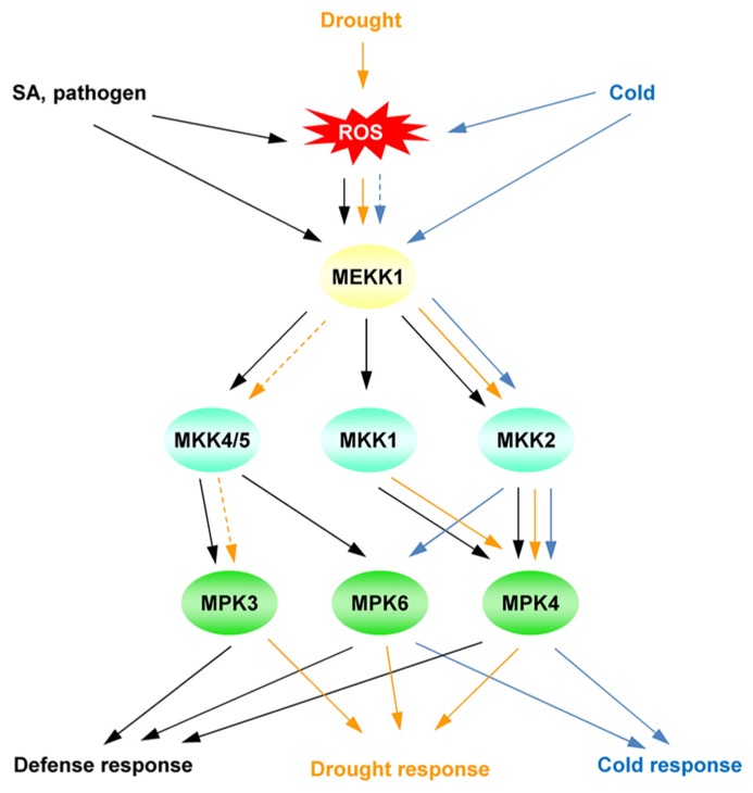 FIGURE 3