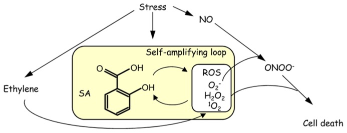 FIGURE 2