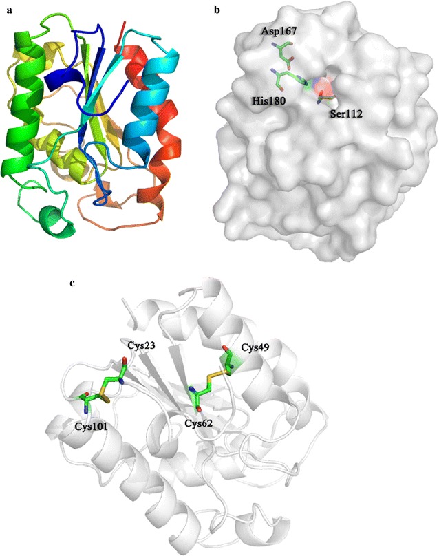 Fig. 3