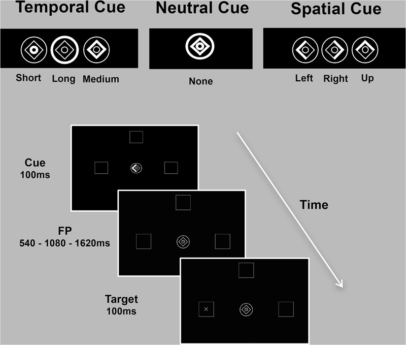 FIGURE 1