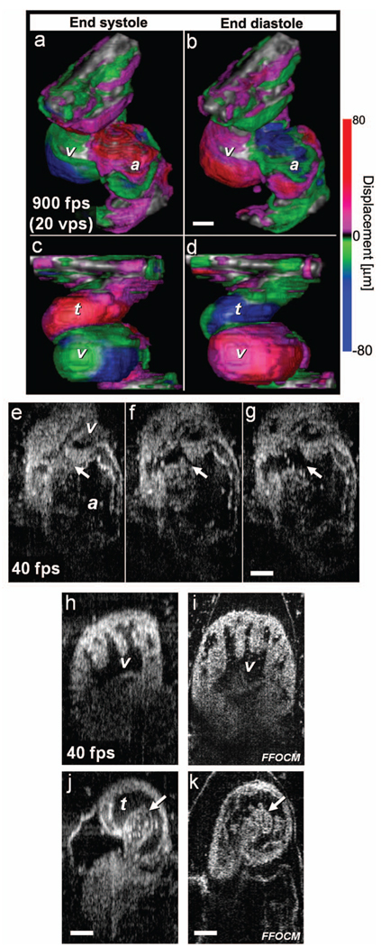 Fig. 5