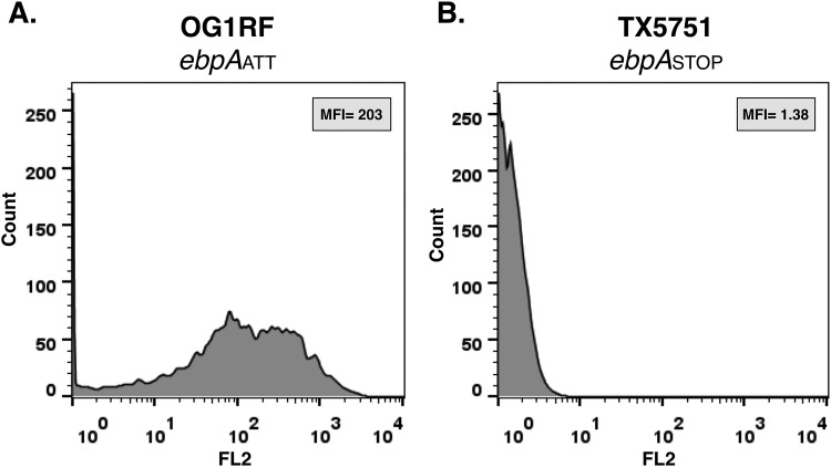 FIG 2 