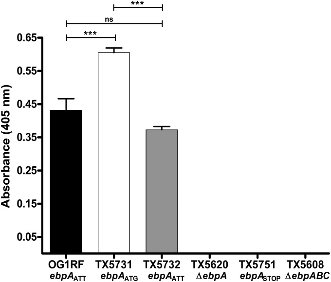 FIG 3 