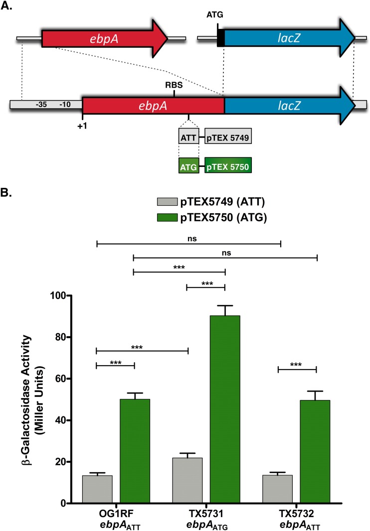 FIG 4 