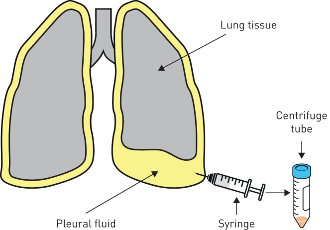 FIGURE 1