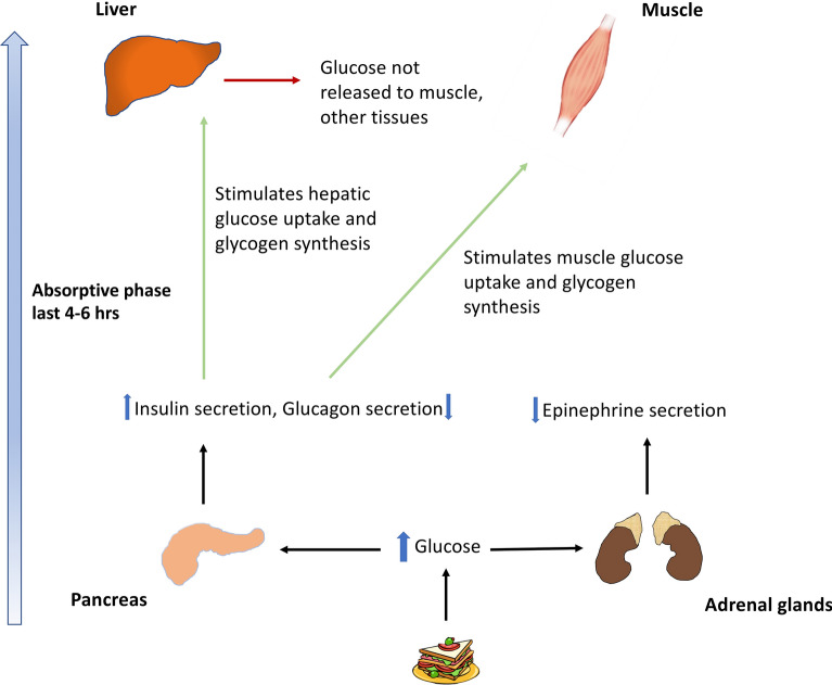 Fig. 1