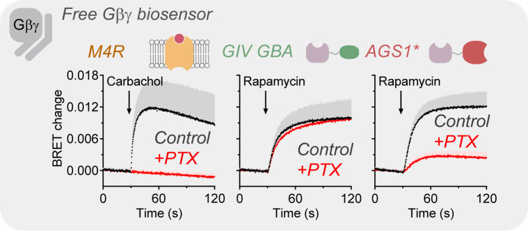 Figure 2—figure supplement 1.