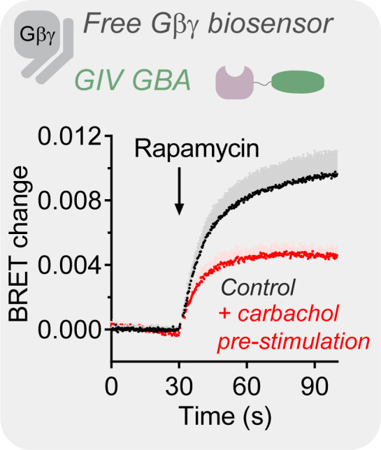 Figure 6—figure supplement 1.