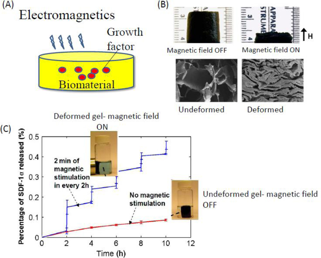 Figure 10