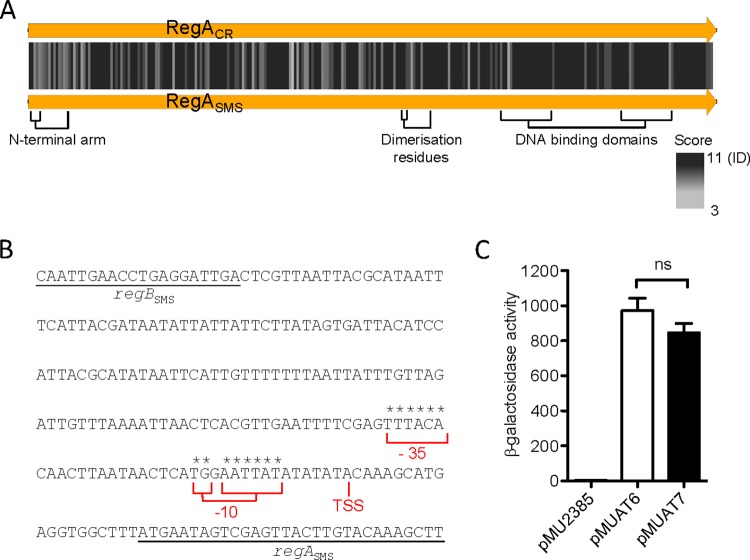 FIG 3