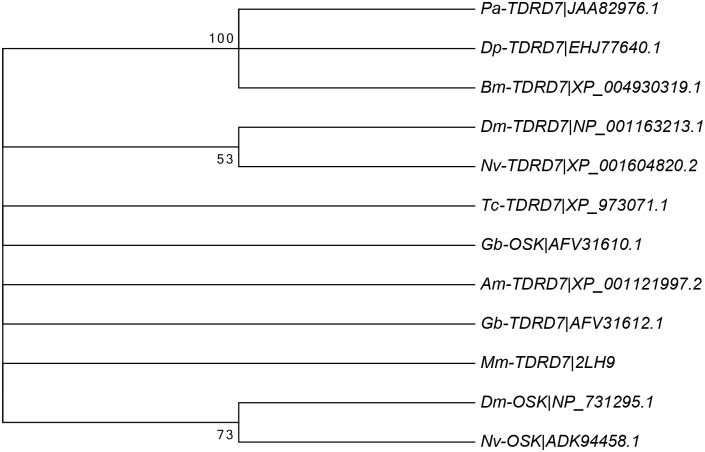 Fig 10