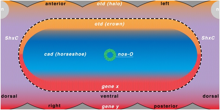 Fig 12