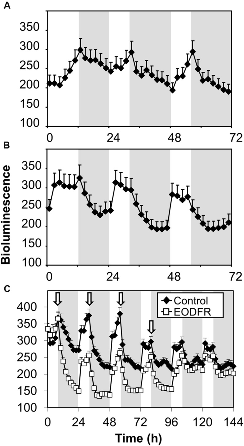 FIGURE 6