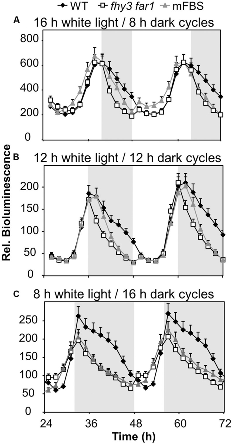 FIGURE 2