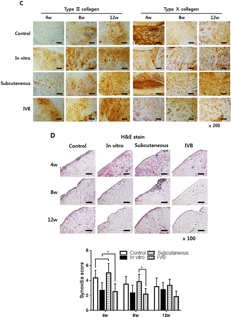Fig. 7