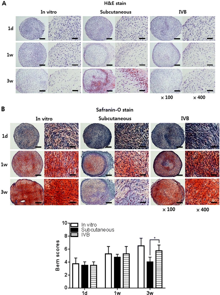 Fig. 4