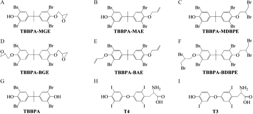 Figures 1A to 1I is a set of nine chemical structures, depicting the tested Tetrabromobisphenol A mono-ether structural analogs, namely, Tetrabromobisphenol A-mono(glycidyl ether), Tetrabromobisphenol A-mono(allyl ether), Tetrabromobisphenol A-mono(2,3-dibromopropyl ether), Tetrabromobisphenol A-bis(glycidyl ether), Tetrabromobisphenol A-bis (allyl ether), Tetrabromobisphenol A-bis(2,3-dibromopropyl ether), Tetrabromobisphenol A, Thyroid Hormones Thyroxine, and Thyroid Hormones Triiodothyronine, respectively.