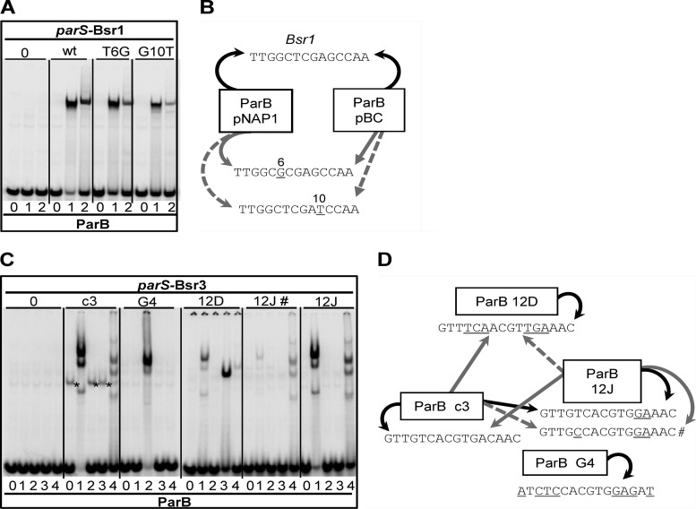 Fig 4