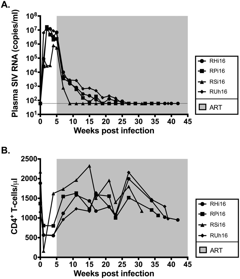 FIG 1