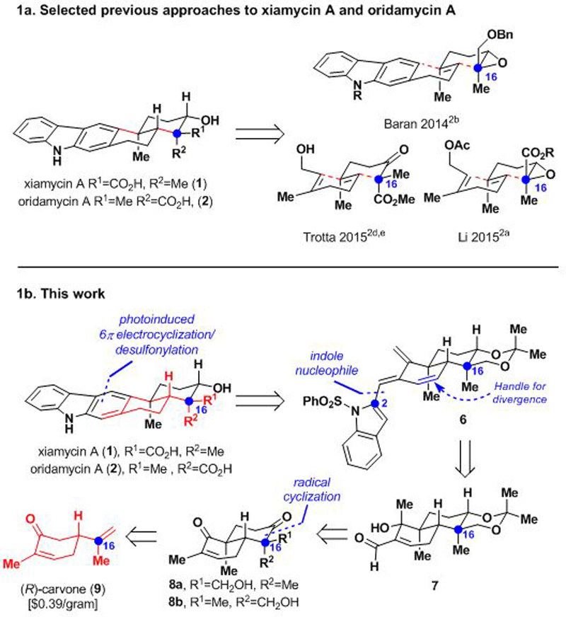 Scheme 1a.