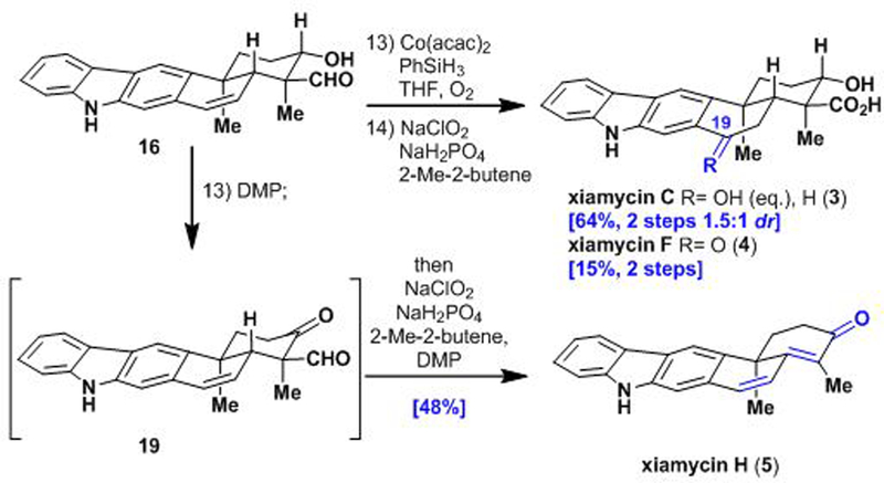 Scheme 5.