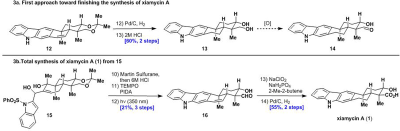 Scheme 3a.