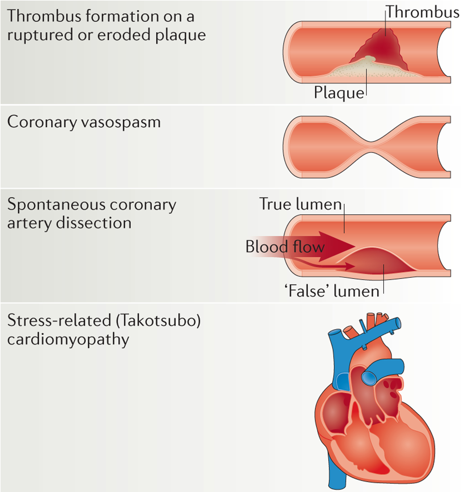 Figure 2 |