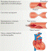 Figure 2 |