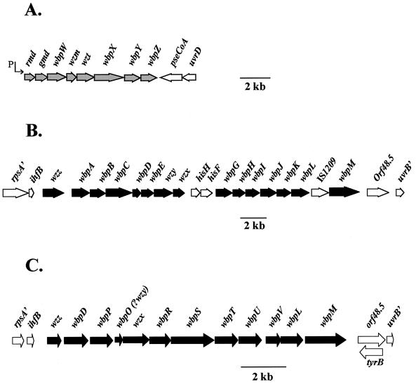 FIG. 3