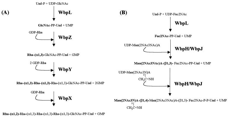 FIG. 7