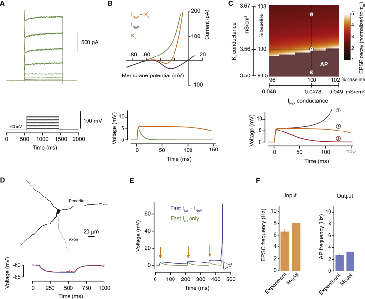 Figure 2