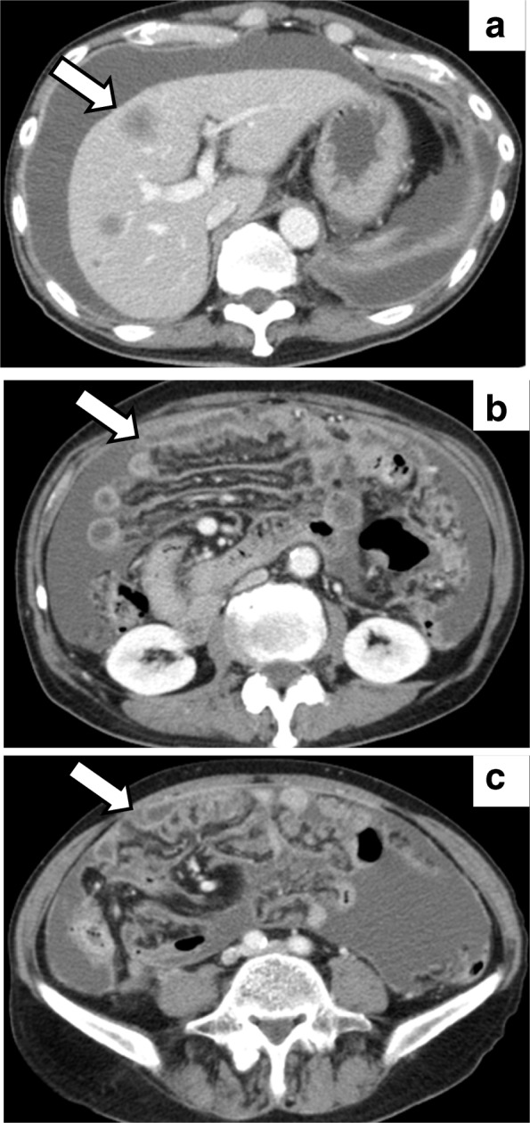 Fig. 3