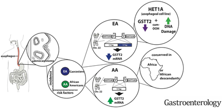 graphic file with name nihms-1516580-f0001.jpg