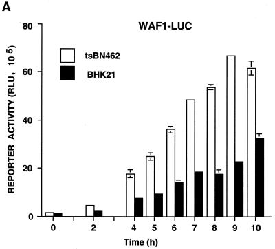 FIG. 10