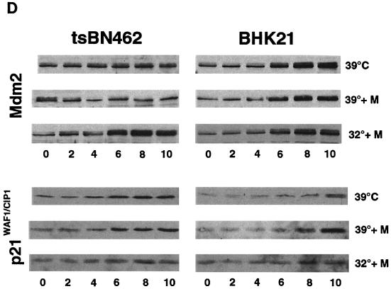 FIG. 8