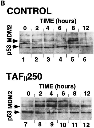 FIG. 8