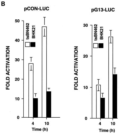 FIG. 10