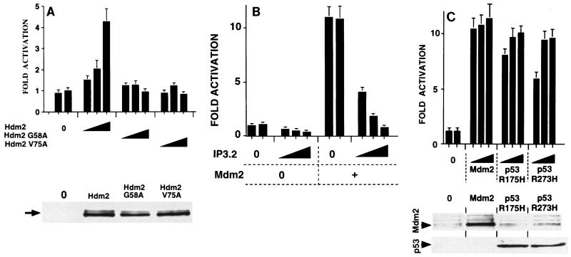 FIG. 4