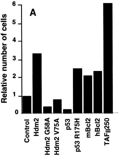 FIG. 6