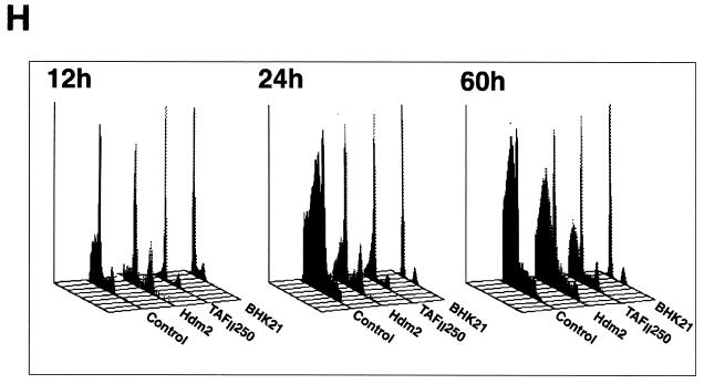 FIG. 7