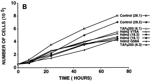 FIG. 7